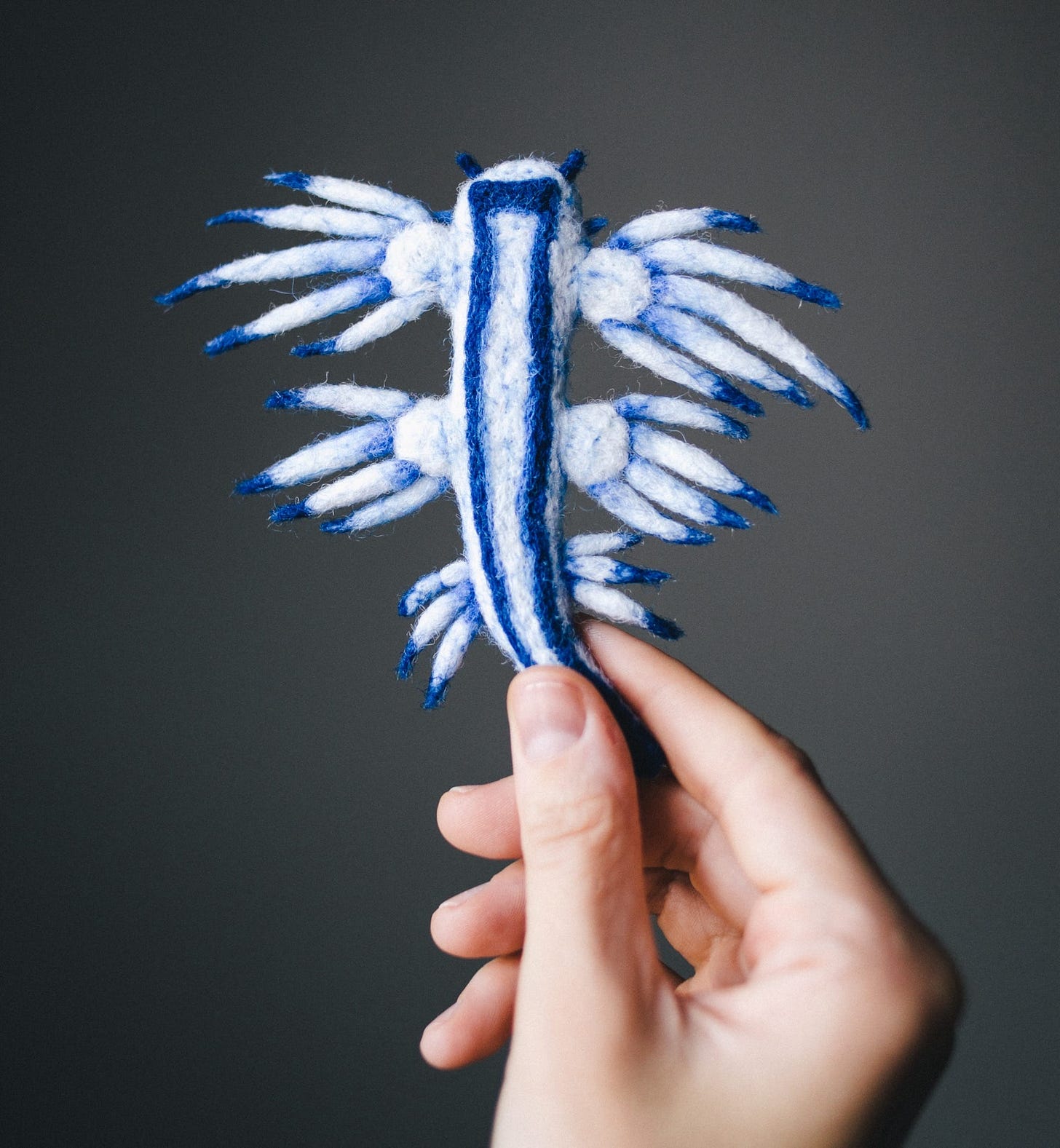 A hand holds a tiny felted sculpture in the shape of a blue-and-white nudibranch A hand holds a tiny felted sculpture in the shape of a blue-and-white nudibranch