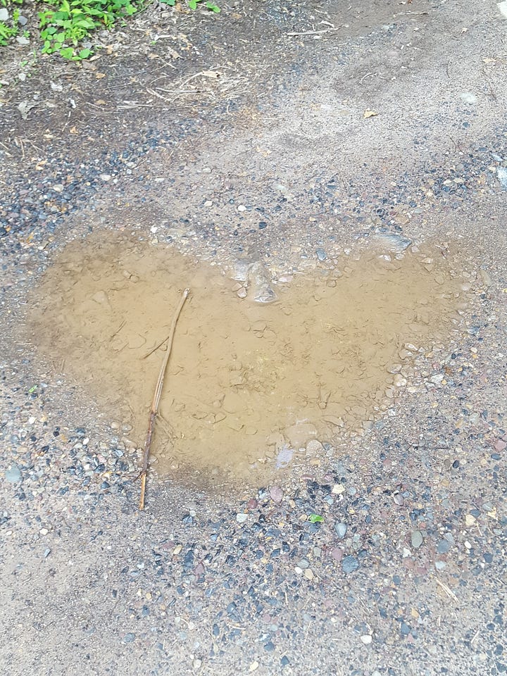 Left tan puddle of a heart, right Amanda Gorman in a yellow jacket and a red had on her head.