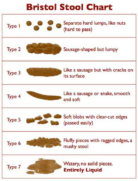 stool chart