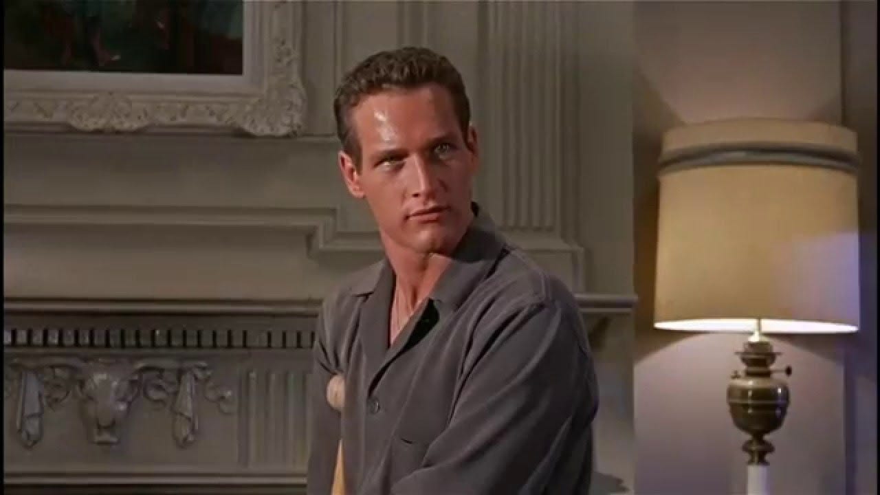 Image result for paul newman cat on a hot tin roof Image result for paul newman cat on a hot tin roof