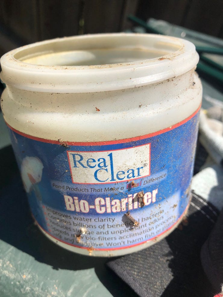 Note to self: Order more pond cleaner.