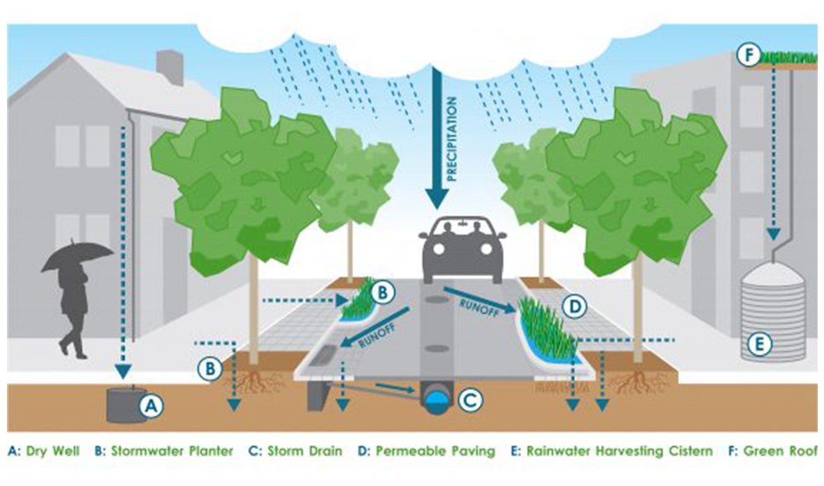 Green Stormwater Infrastructure (GSI) 101 for New England Communities ... Illustration shows various ways stormwater can flow in an urban environment: into rain barrels, into submerged basins, into bioswales and street tree planters 