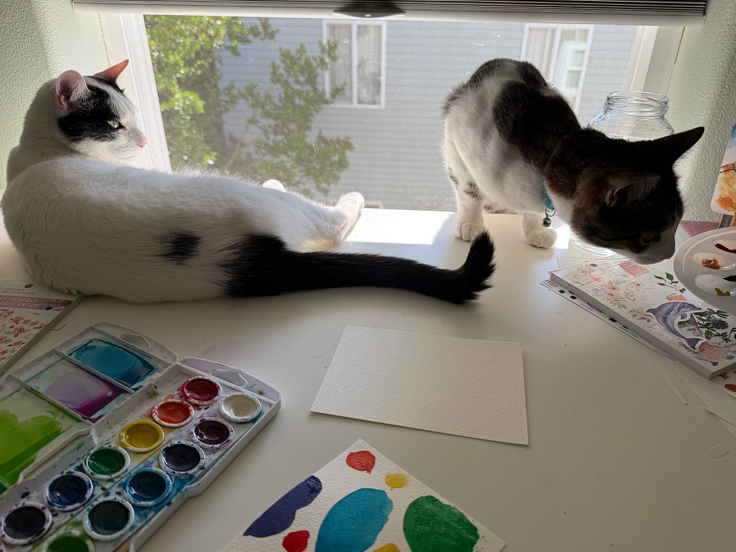 Two cats interfering with the watercolor paints and water on the desk