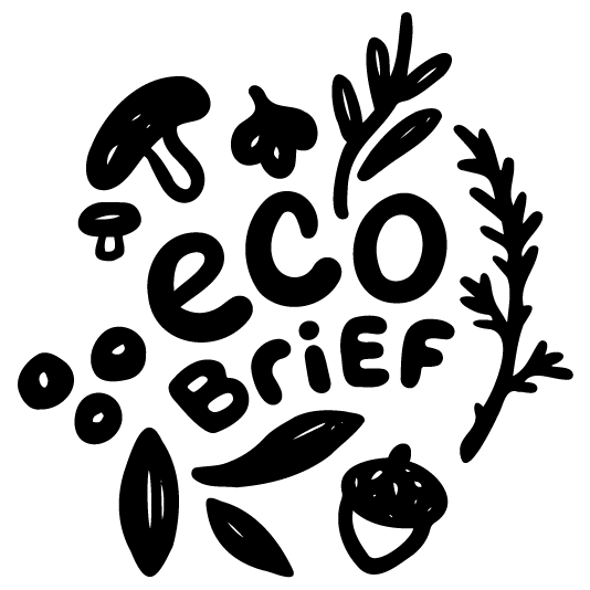 Eco Brief