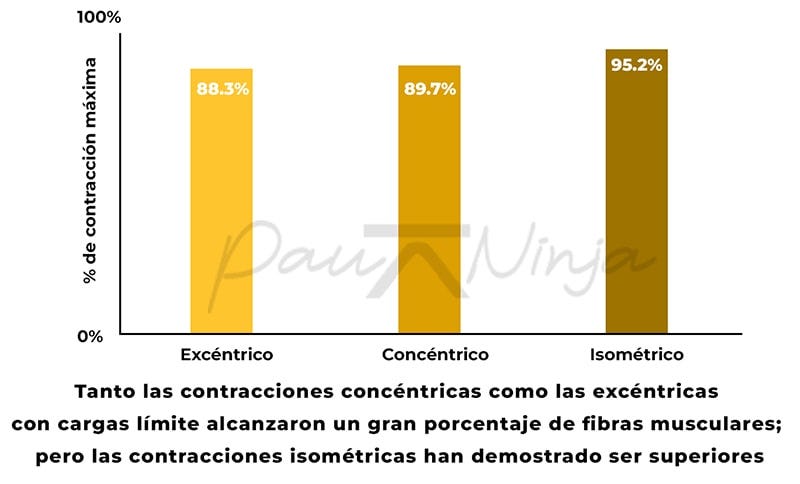 isométricos mejores para hipertrofia