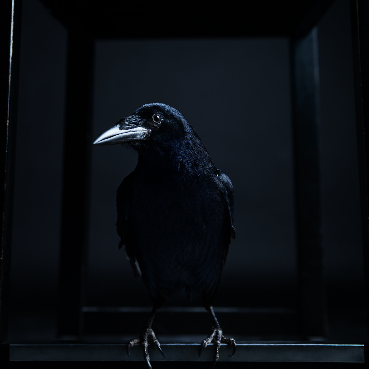 Artwork for Legal Witchcraft