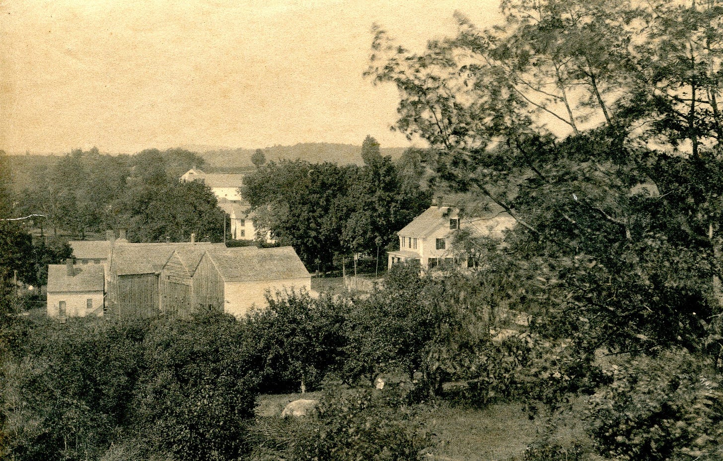 Bank Village