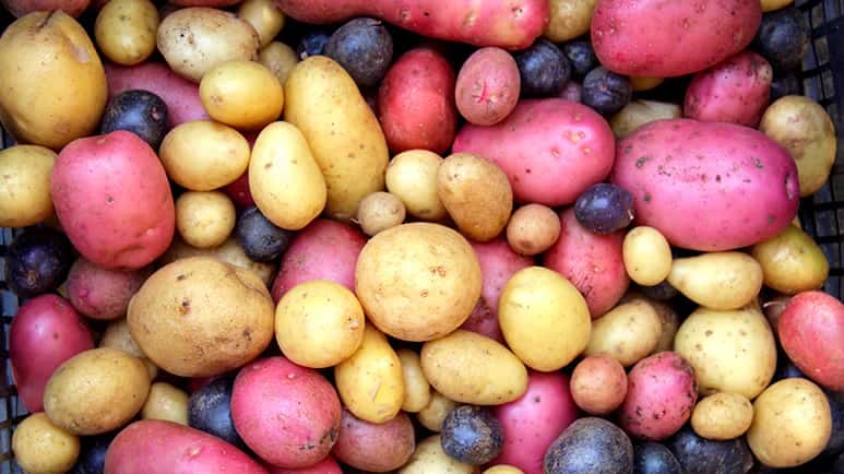 how to store potatoes