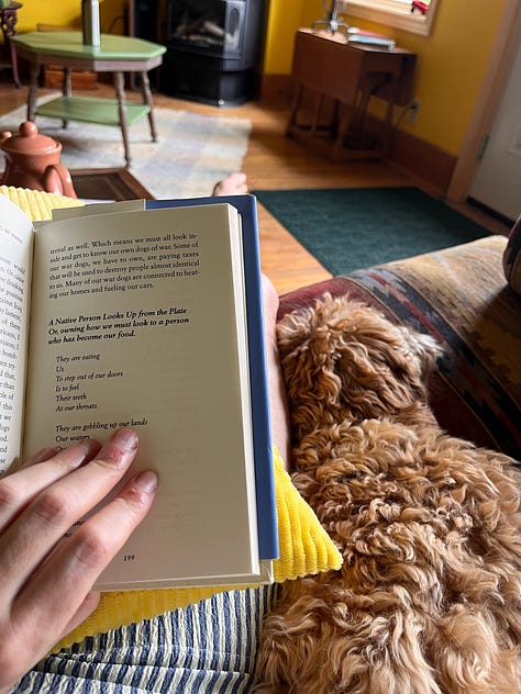 Six photos: one of a cockapoo walking through a field of wildflowers; some watercolour paints sitting by a window near a jug of flowers; a hummingbird moth visiting som bee balm; a rudimentary painting of a jar of jam and some blueberries; a person, barefoot, holding a mug of coffee, a dog leash around their neck; a book open in a lap, a dog sleeping on the couch beside them 