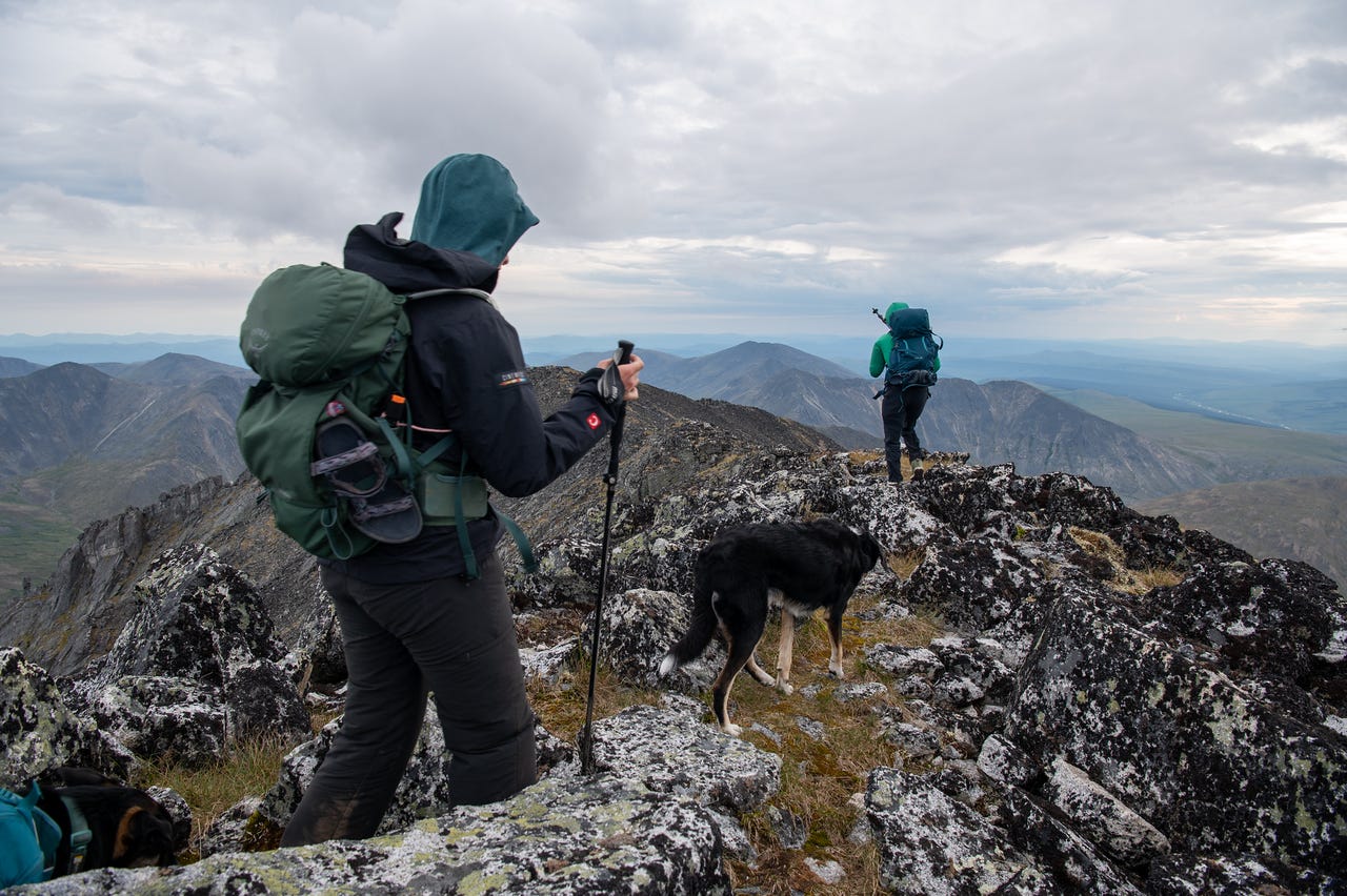 Two hikers with packs and a black-and-white dog pick their way down a broad, lichen-covered rock ridge, one ahead near a drop-off, ranges of dark peaks stretching to the horizon under a grey sky.