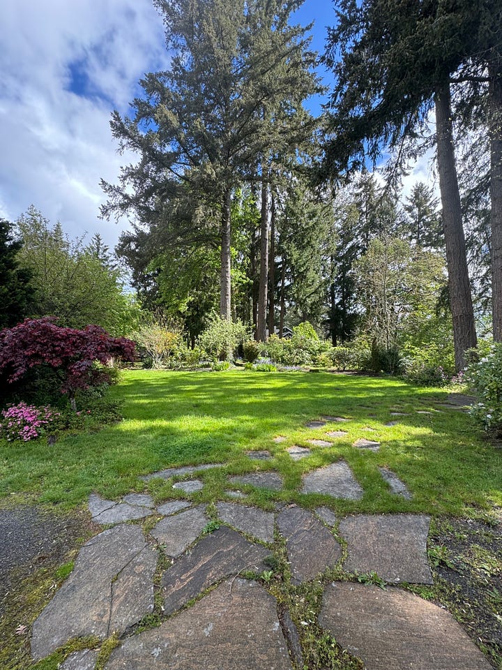 First image: a flagstone path overgrown with grass. Second image: The same flagstone path but all grass on top has been removed and gravel has been placed in between the flagstones.