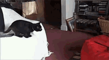 a black cat is sitting on top of a white blanket in a living room . a black cat is sitting on top of a white blanket in a living room .