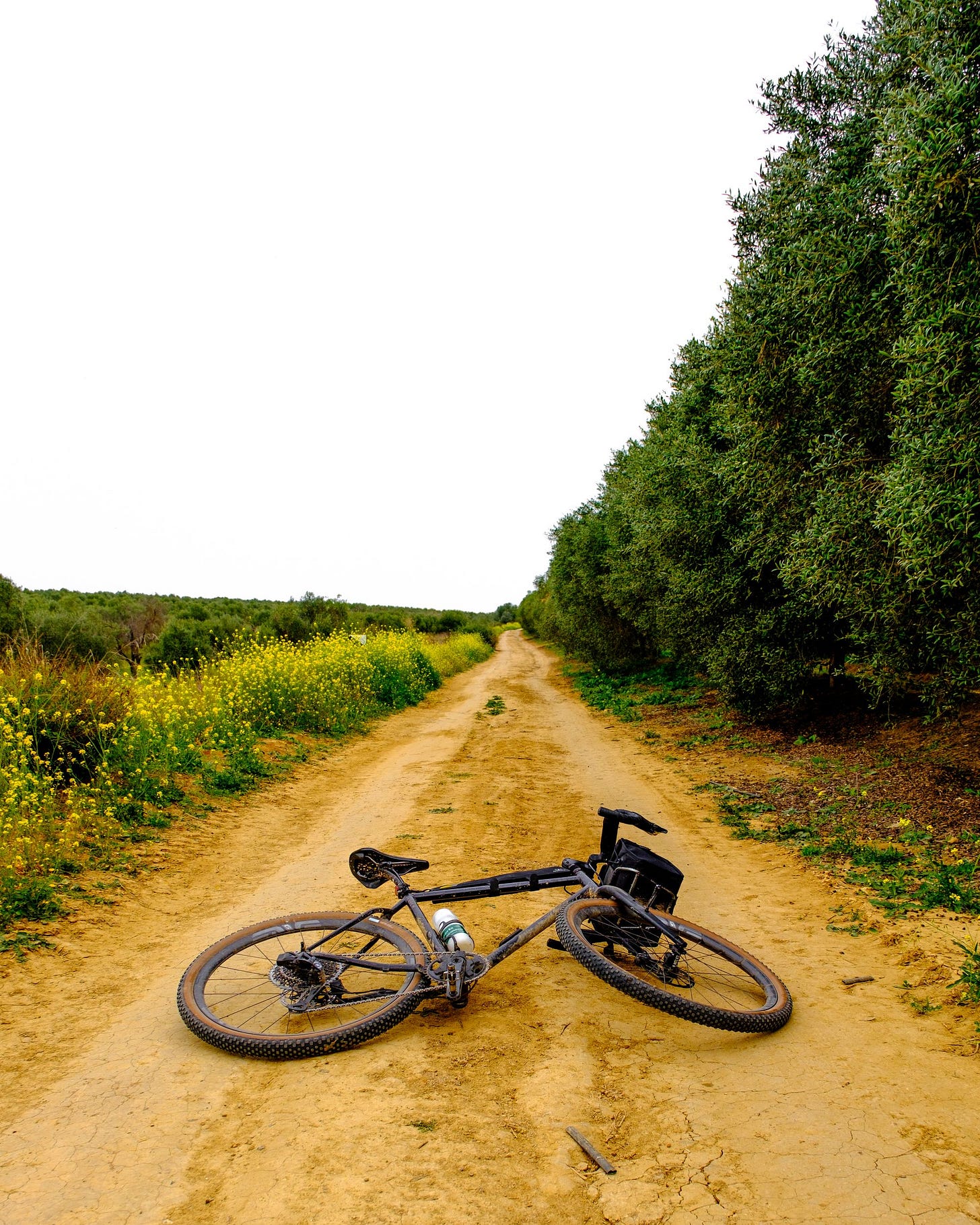 Gravel Rides Around Seville