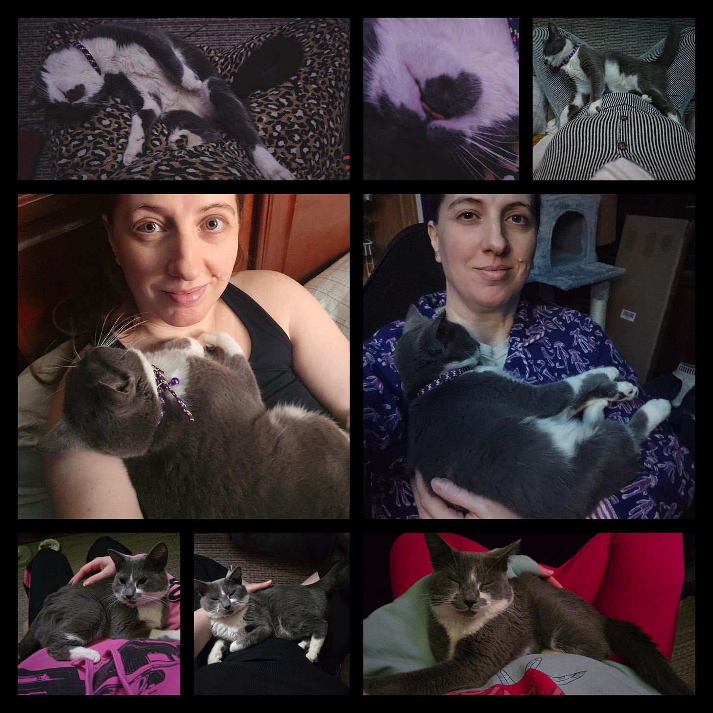A nine photo collage of a small gray cat with white underside snuggling in the lap or being cuddled on the chest of a pale human. In the first two images, she is sleeping upside down with a tongue blep sticking out.