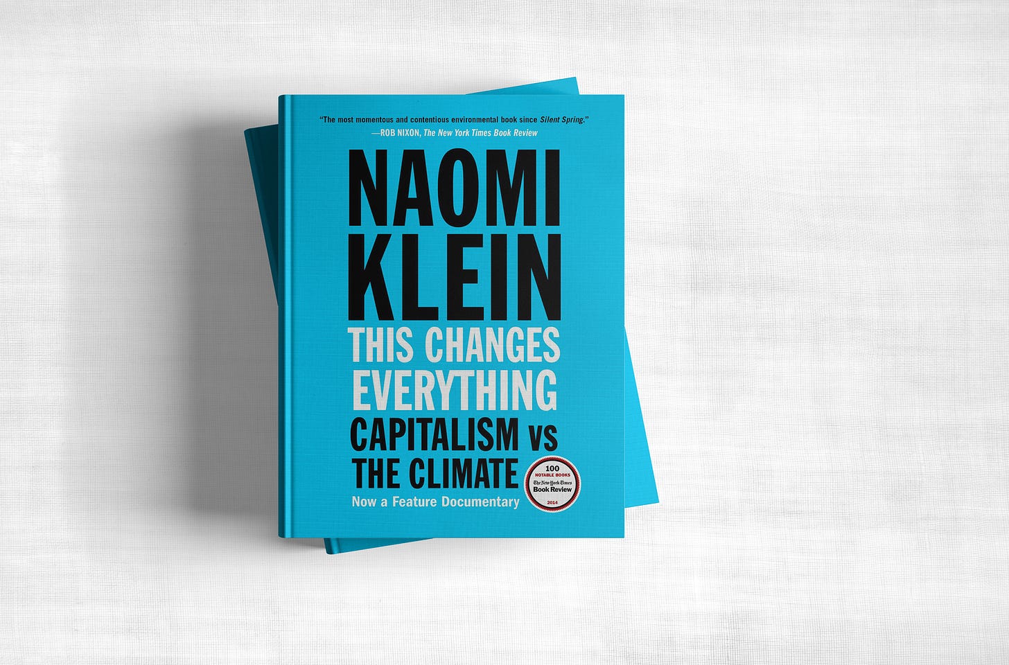 This Changes Everything – Naomi Klein