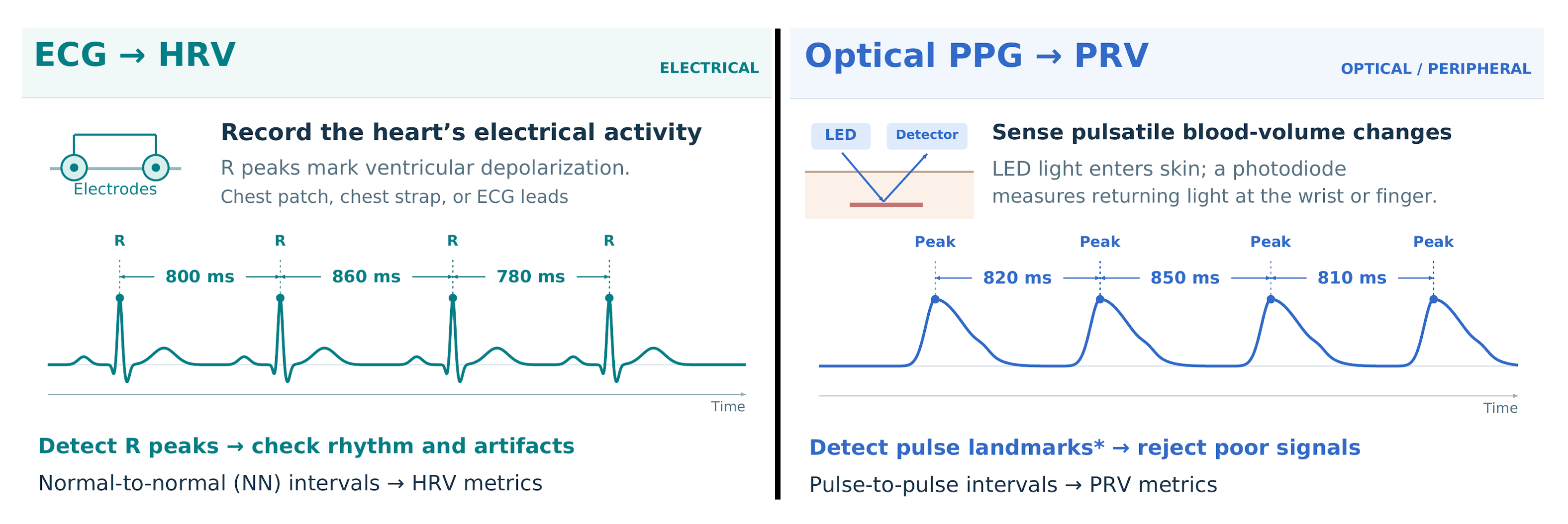erictopol.substack.com - Eric Topol - The Big Holes in Wearable Heart Rate Variability And Readiness Scores