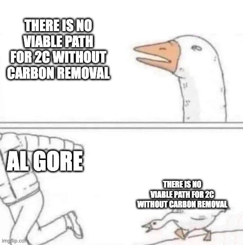 Goose chase meme. A goose says "There is no viable path for 2C without carbon removal," a man labelled "Al Gore" runs away, and the goose chases him repeating the line.
