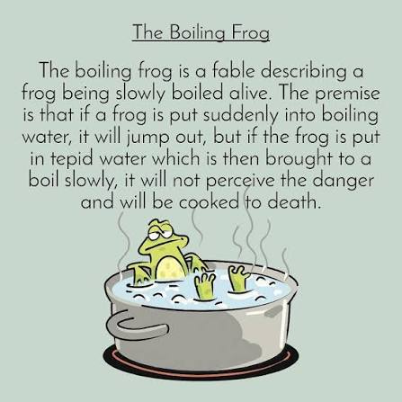 If you plunge a frog into boiling water, it will immediately jump out. But  if you place the frog into cool water and slowly heat it to boiling, the  frog won't notice