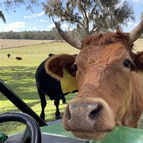 The WHO INB Continues This Week To Make Treaties And Instruments That Unethically Proclaim Experimental mRNA Is A “Health Product” That You Need To Give All Livestock & Have A Passport For!