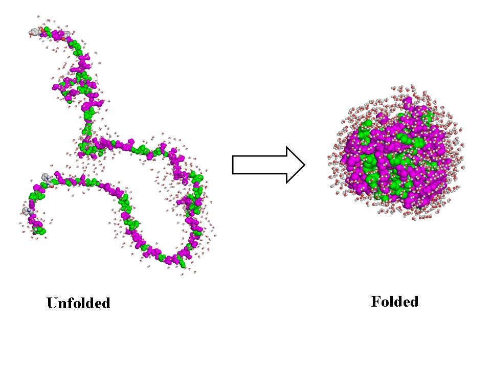 Protein Folding and Degradation - Biochemistry - Medbullets Step 1