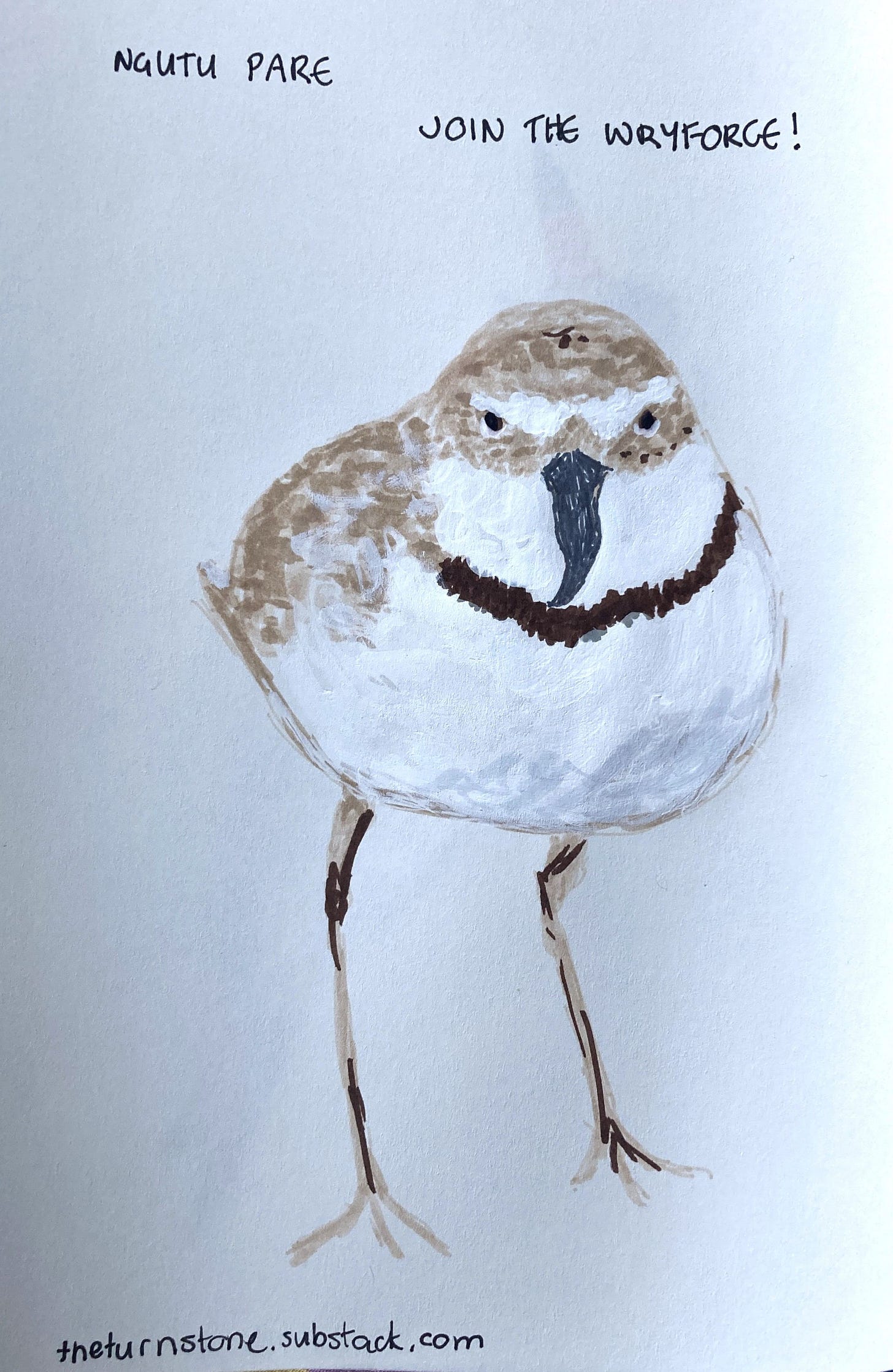A felt pen drawing of a brown and white wading bird, front on showing the curved beak, caption "join the wryforce"