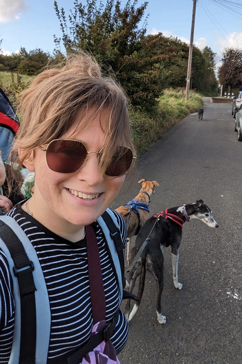 Ellen walking two greyhounds on leads, with another in the distance roaming free. She has a baby carrier on her back.