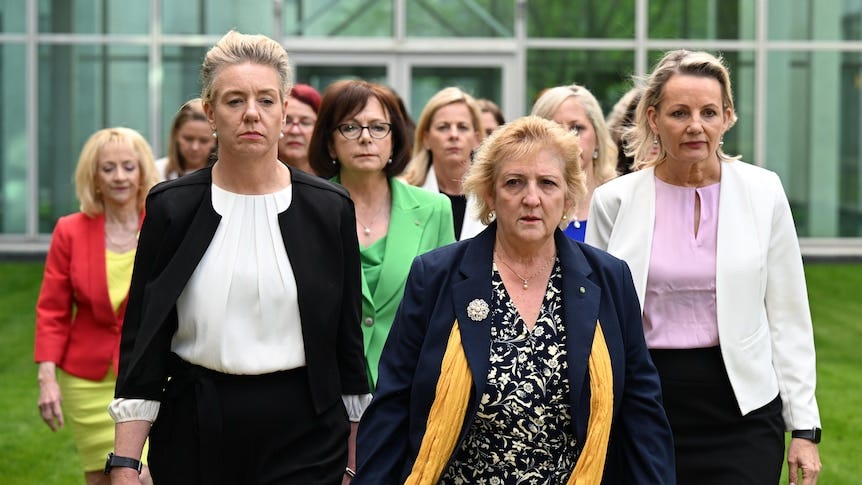 A group of women led by Michelle Landry outside parliament house
