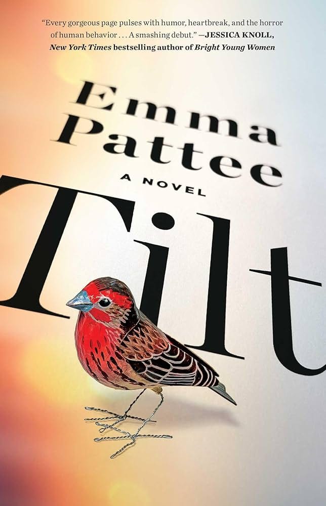 Tilt: A Novel: Pattee, Emma: 9781668055472: Amazon.com: Books