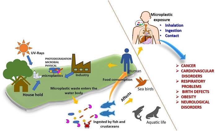 A diagram of a water exposure

AI-generated content may be incorrect.