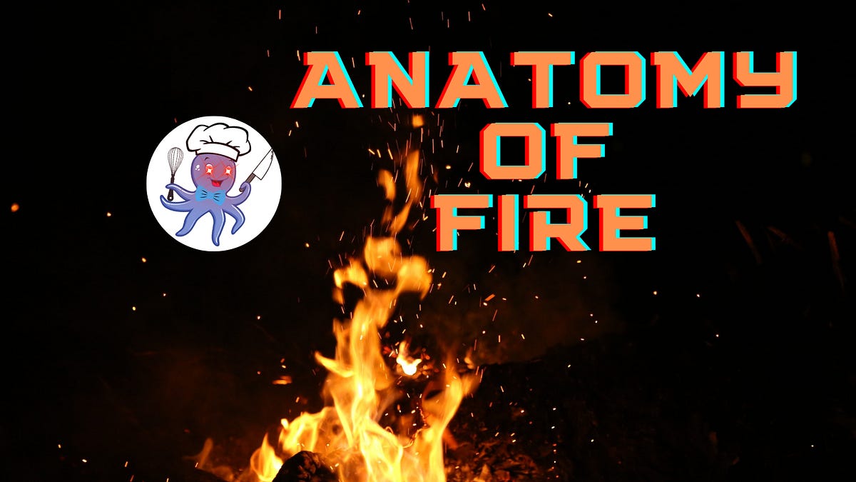 Anatomy of Fire 🔥 - by BowTiedOctopod