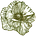 Dapple Scrumping