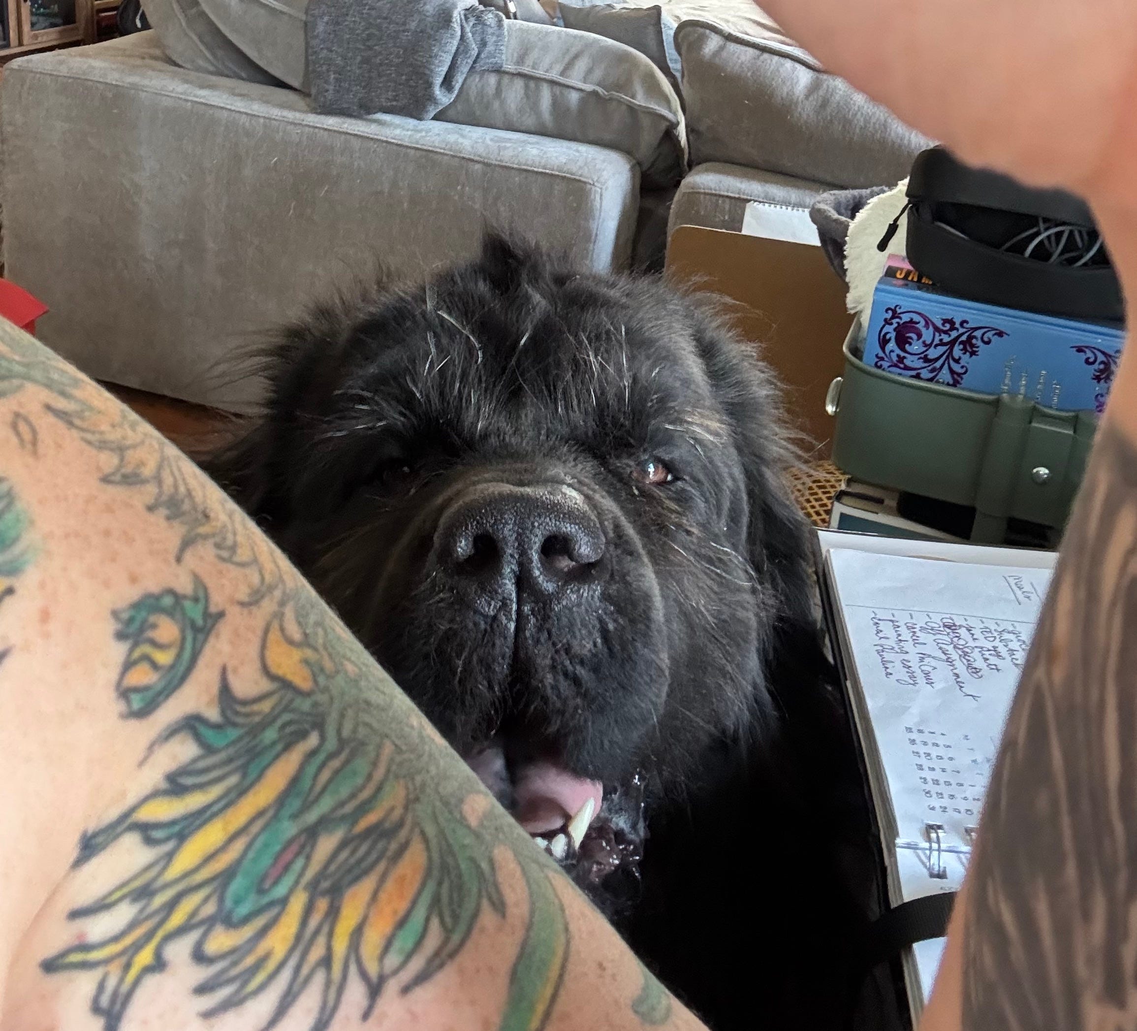 The Art of Imperfect Boundaries - by Elizabeth Austin, image size:2310x2094