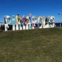 Piriápolis Expats's avatar