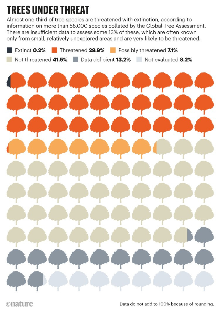 TREES UNDER THREAT: graphic showing the percentage of tree species from extinct to unthreatened TREES UNDER THREAT: graphic showing the percentage of tree species from extinct to unthreatened