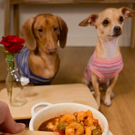 Pup Gumbo