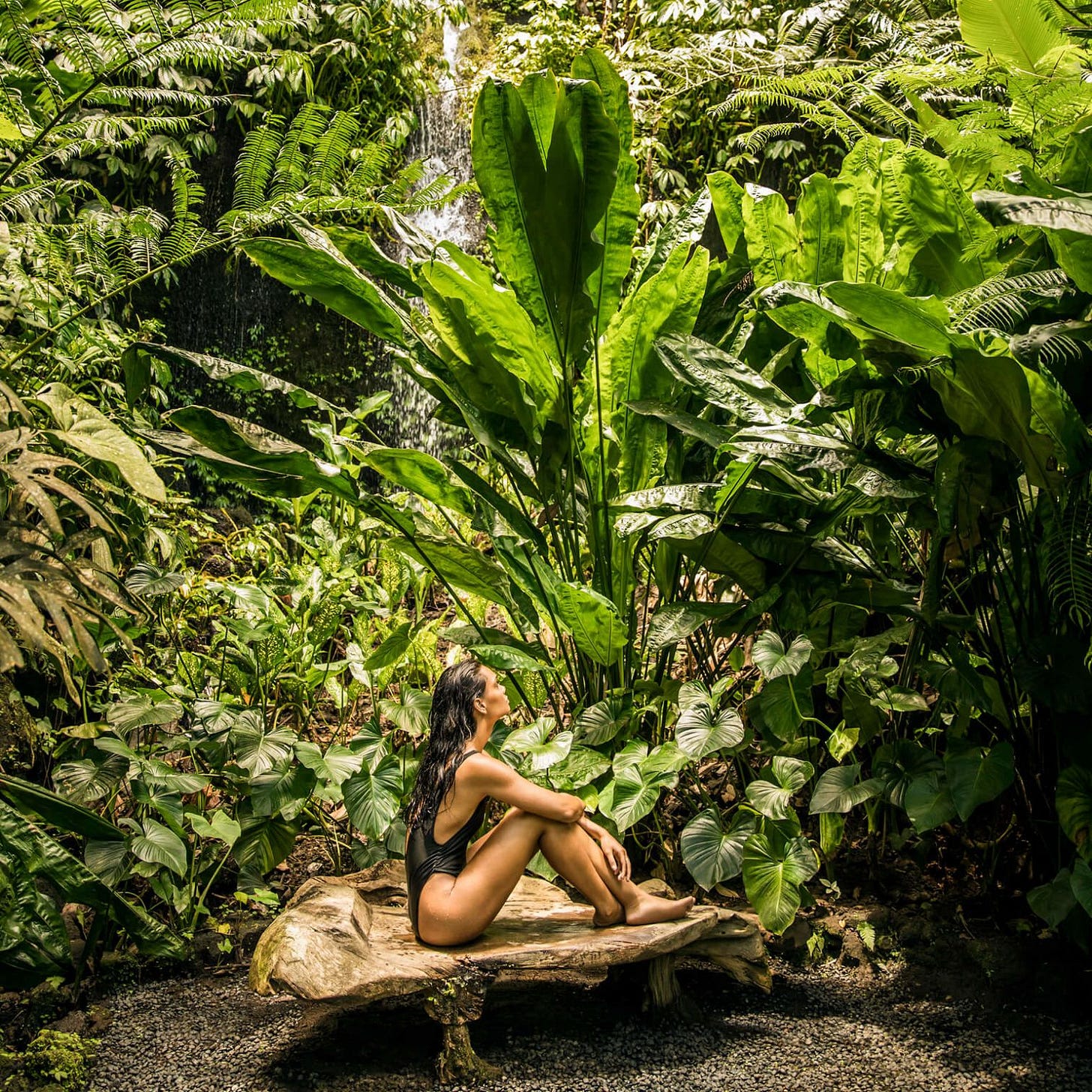 A Person Sitting On A Rock In A Forest
