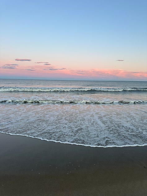 Shells, horses, and sunrises on the beach in Carova NC