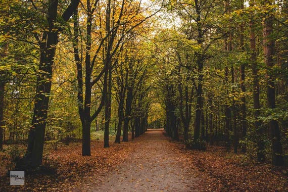 Die 11 schönsten Spaziergänge in Berlin | blickgewinkelt Die 11 schönsten Spaziergänge in Berlin | blickgewinkelt