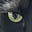 John's avatar