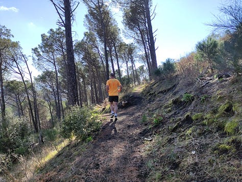 Views from the course, showing a sea view, some shaded and some open and sunny paths covered in pine needles