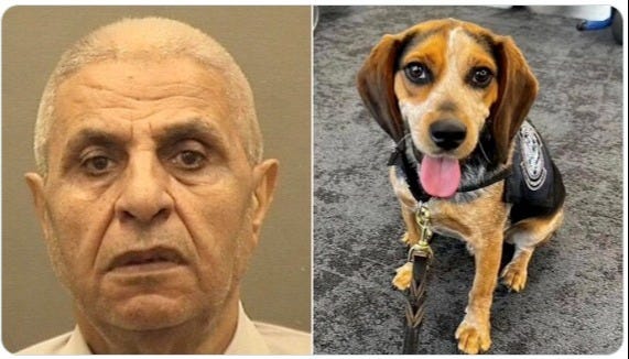 Hamed Ramadan Bayoumy Aly Marie & CBP K9 "Freddie" Hamed Ramadan Bayoumy Aly Marie & CBP K9 "Freddie"