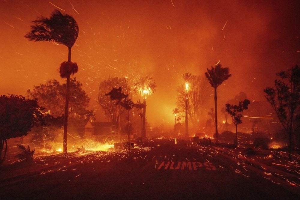 Photo credit: AP/Ethan Swope. Reddish sky, fire in tall palm trees, fire sparks on ground and road. Road says "HUMPS."