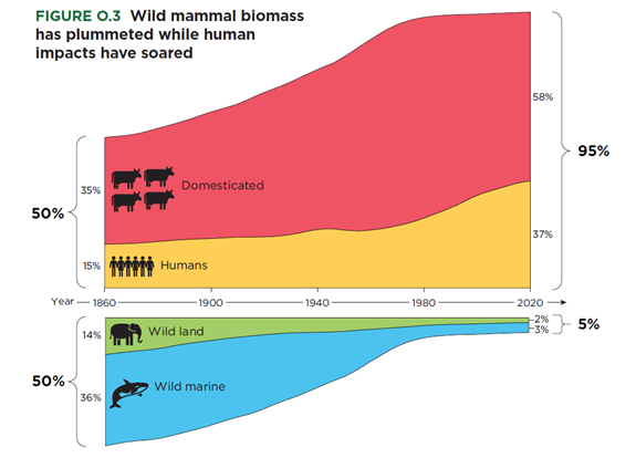 A graph of different colored layers

AI-generated content may be incorrect.