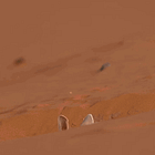 The Finest Funerary Trucker Cap: Tabs, Mon., March 9, 2026