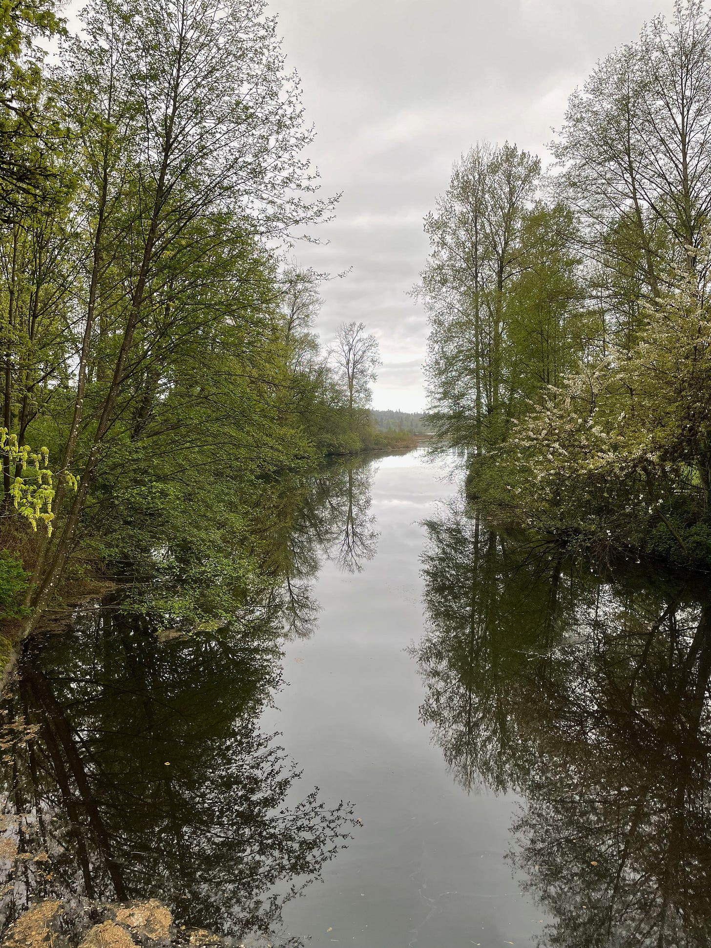 Water with trees on either side