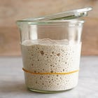 Sourdough Basics vol. 1: What is Sourdough?