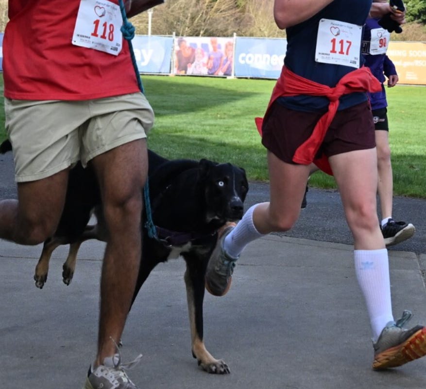 Artwork for Adventures with Vikram