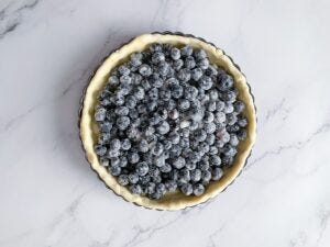 Blueberry Tart using Pate Brisee Pastry Blueberry Tart using Pate Brisee Pastry