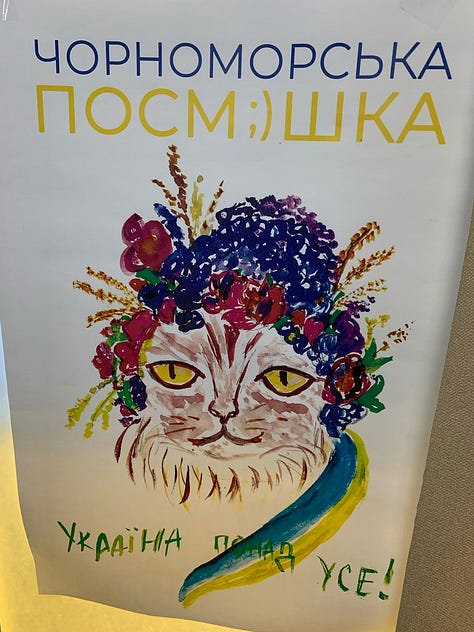 mages of hand-made pro-Ukraine wall posters featuring cats at a community help center in Dnipro, Ukraine.