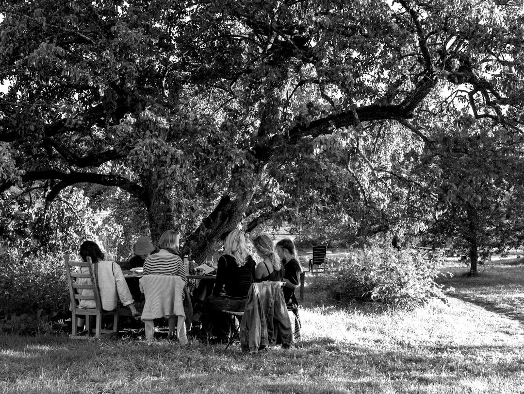 People gathered around a table under a large tree.